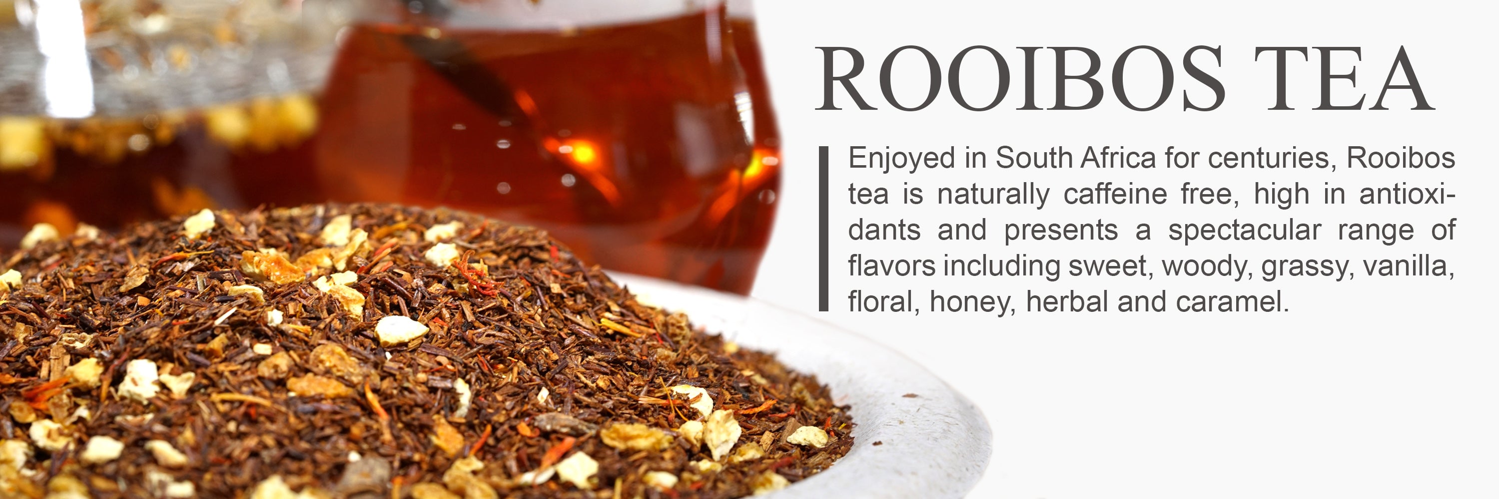 Rooibos