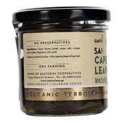 Santorini Caper Leaves - Wild Harvested - Rare Tea Cellar