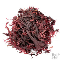 Aka Tosaka Reifu Kanso - Red - Rare Tea Cellar