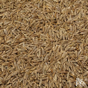 Cumin Seeds - Rare Tea Cellar