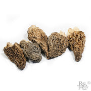 Dried Wild Morels - Rare Tea Cellar