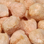Freeze Dried Whole Litchi - Rare Tea Cellar