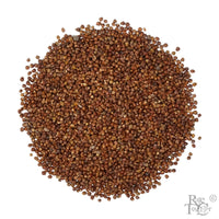 Grains Of Paradise - Rare Tea Cellar