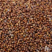 Grains Of Paradise - Rare Tea Cellar