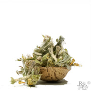 Into the Wilds of Greece (Wild Picked Greek Mountain Herbs) - Rare Tea Cellar