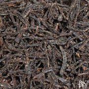 Matsugae (Shio-Kombu) - Rare Tea Cellar