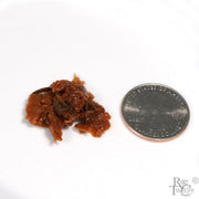 Sakura Dream - Preserved Cherry Blossom - Rare Tea Cellar