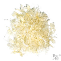 Shiro Tosaka Reifu Kanso - White - Rare Tea Cellar
